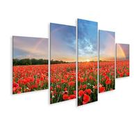 islandburner Tableau sur toile Champ de coquelicots avec arc-en-ciel et coucher de soleil à l'horizon