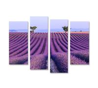 islandburner Tableau sur toile Champ de lavande en Provence au lever du soleil Images murales Poster