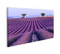 islandburner Tableau sur Toile Champ de Lavande Paysage d'été Valensole Provence France Cadre Affiche Poster Murale Tableaux