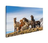 islandburner Tableau sur toile Chevaux Islandais Race de chevaux créée en Islande Belle édition d'hiver Cadre Affiche Poster Murale Tableaux