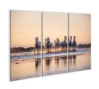 islandburner Tableau sur toile Chevaux sauvages de Camargue courant de l'eau ondulante Cadre Affiche Poster Murale Tableaux