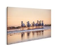 islandburner Tableau sur toile Chevaux sauvages de Camargue courant de l'eau ondulante Cadre Affiche Poster Murale Tableaux