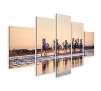 islandburner Tableau sur toile Chevaux sauvages de Camargue courant de l'eau ondulante Cadre Affiche Poster Murale Tableaux