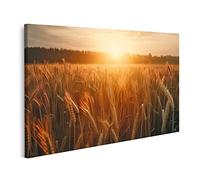 islandburner Tableau sur Toile Coucher de Soleil d'été sur Un Champ de blé Heure d'or d'été sur Un Champ de blé Cadre Affiche Poster Murale Tableaux