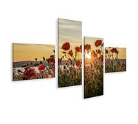 islandburner Tableau sur Toile Coucher de Soleil sur Le Coquelicot Rouge Mönchgut, île de Rügen sur la mer Balt Cadre Affiche Poster Murale Tableaux