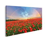 islandburner Tableau sur toile de qualité supérieure - Paysage arc-en-ciel sur le champ de coquelicots