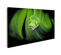 islandburner Tableau sur toile de qualité supérieure - Vue de serpent vert - Yeux en attente - Chasse - Morelia Viridis - Photos murales