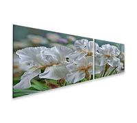islandburner Tableau sur toile - Élégant - Motif fleurs d'iris, décoration murale pour le salon - Pour les amoureux de la nature - 2 pièces