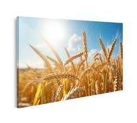 islandburner Tableau sur toile Épis de blé sur le champ un jour d'été pendant la période de récolte Images murales Poster