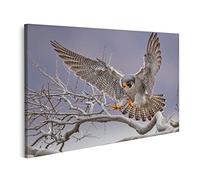 islandburner Tableau sur Toile Faucon pèlerin, Grand Oiseau de Proie Cadre Affiche Poster Murale Tableaux