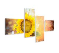 islandburner Tableau sur toile Grand tournesol Nature Fond Bannière Site Photos Tableaux muraux Poster