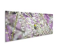 islandburner Tableau sur toile Grive Fleur de prunier Blanc Branches Délicat Rose Printemps Select Photos murales Poster