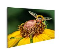 islandburner Tableau sur toile Gros Plan Insecte Coloré Jolie Plante Jardin Saison Été Gros Plan Insecte Cadre Affiche Poster Murale Tableaux