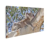 islandburner Tableau sur Toile Koala, Arbre Repos, Dormir, Branche Eucalyptus Cadre Affiche Poster Murale Tableaux
