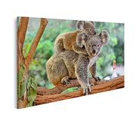 islandburner Tableau sur toile Koala Bear Baby sur le dos de sa mère Eucalyptus Cadre Affiche Poster Murale Tableaux