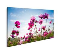 islandburner Tableau sur toile Le champ de fleurs Cosmos Peintures Impressions Art Poster Mural