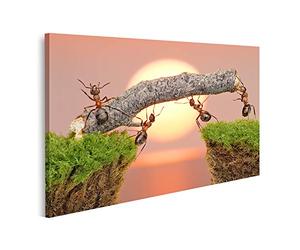 islandburner Tableau sur toile L'équipe des fourmis travaille à construire un pont Cadre Affiche Poster Murale Tableaux