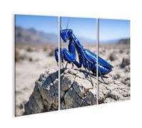islandburner Tableau sur toile - Mante religieuse bleue sur sol fissuré - Décoration murale pour les amateurs d'insectes - 3 pièces