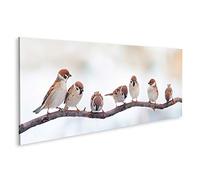 islandburner Tableau sur Toile Moineaux Assis sur Une Image panoramique de Branche Cadre Affiche Poster Murale Tableaux