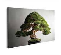 islandburner Tableau sur toile - Motif bonsaï harmonieux - Impression d'art pour salon - Pour les amoureux de la nature - Édition B2