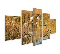 islandburner Tableau sur toile Motif canard