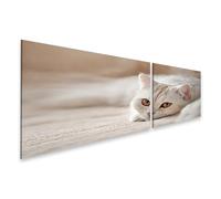 islandburner Tableau sur toile motif chat blanc détendu sur un sol mou comme tableau mural - 2 pièces