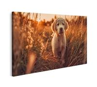 islandburner Tableau sur toile Motif chiot Golden Retriever jouant