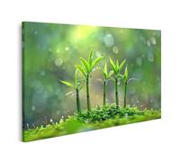 islandburner Tableau sur toile Motif jeunes pousses de bambou dans la rosée du matin pour jardin zen amoureux de la nature Spa Images murales Poster