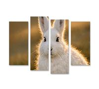 islandburner Tableau sur toile - Motif lapin arctique blanc neige dans la lumière dorée - 4 pièces