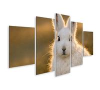 islandburner Tableau sur toile - Motif lapin arctique blanc neige dans la lumière dorée - 5 pièces