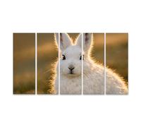 islandburner Tableau sur toile - Motif lapin arctique blanc neige dans la lumière dorée - 5 pièces - XXL