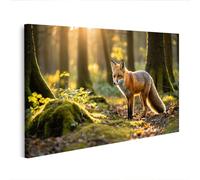 islandburner Tableau sur toile - Motif renard dans la forêt d'automne avec lumière dorée - Décoration murale - Édition A2