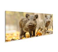 islandburner Tableau sur toile Motif sanglier d'automne forêt