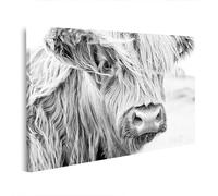islandburner Tableau sur toile Motif vache des hautes terres poilue en noir et blanc debout sur un saule 100 x 57 cm