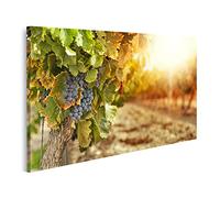 islandburner Tableau sur toile Motif vignobles Coucher de soleil Photos murales Poster