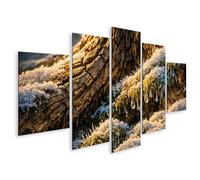 islandburner Tableau sur toile - Mousse recouverte de neige et gouttes congelées sur le tronc d'arbre - 5 pièces