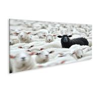 islandburner Tableau sur toile - Mouton noir au milieu des moutons blancs dans un grand troupeau - Tableau mural
