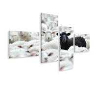 islandburner Tableau sur toile - Mouton noir au milieu des moutons blancs dans un grand troupeau - Tableau mural