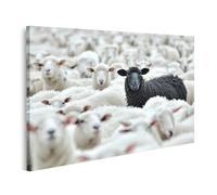 islandburner Tableau sur toile - Mouton noir au milieu des moutons blancs dans un grand troupeau - Tableau mural