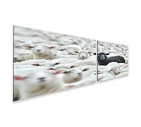 islandburner Tableau sur toile - Mouton noir au milieu des moutons blancs dans un grand troupeau - Tableau mural