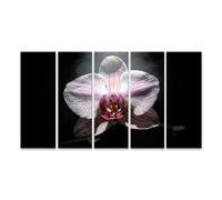 islandburner Tableau sur toile Orchidée élégante sur fond noir - Tableau mural pour chaque pièce - 5 pièces - XXL
