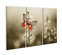 islandburner Tableau sur toile Papillon sur fleur en sépiaton Style vintage Images murales Poster