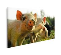 islandburner Tableau sur Toile Petits cochons porcelets Cadre Affiche Poster Murale Tableaux
