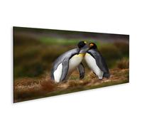 islandburner Tableau sur toile Pingouins câlin nature amitié animale 2 groupes Images murales Poster