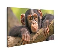 islandburner Tableau sur toile Portrait frontal d'un garçon chimpanzé qui se trouve sur une branche d'arbre E Images murales Poster