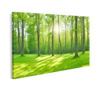 islandburner Tableau sur toile - Promenade en forêt ensoleillée dans la forêt verte - Poster mural