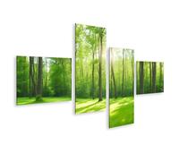 islandburner Tableau sur toile - Promenade en forêt ensoleillée dans la forêt verte - Poster mural