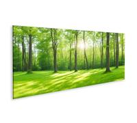 islandburner Tableau sur toile - Promenade en forêt ensoleillée dans la forêt verte - Poster mural