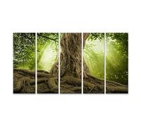 islandburner Tableau sur Toile Racines de Grands Arbres et Rayons du Soleil dans la forêt Verte Cadre Affiche Poster Murale Tableaux