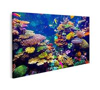 islandburner Tableau sur toile Récif Corail Poissons Tropicaux Lumière Du Soleil Aquarium De Singapour Cadre Affiche Poster Murale Tableaux